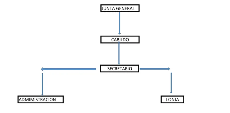 organigrama cofradia pescadores